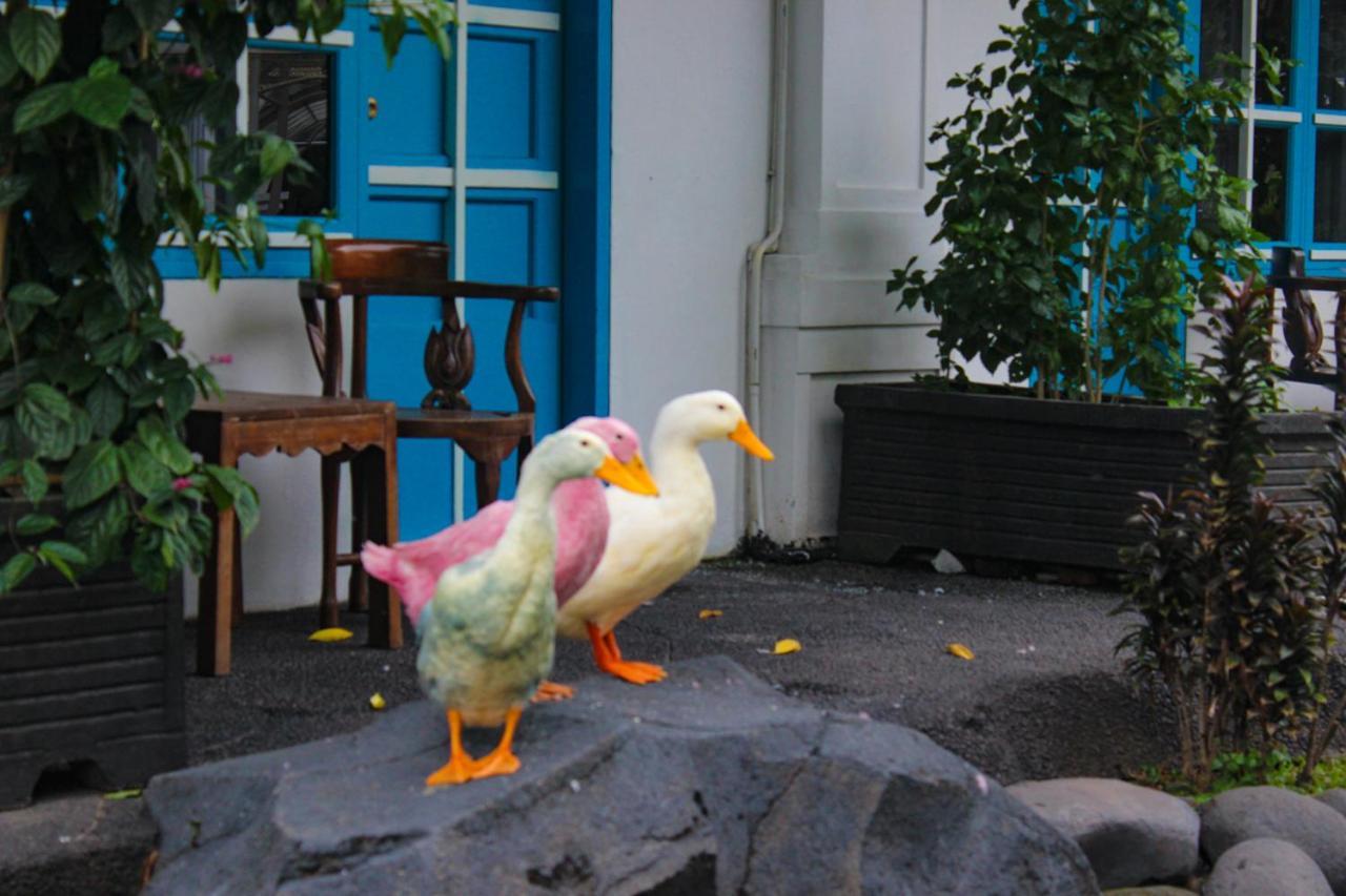 Hotel Merdeka Kediri Кедири Екстериор снимка